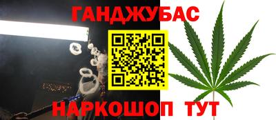 индика Гай