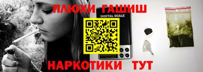 индика Гай