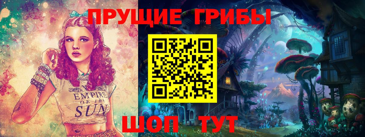 Кимовск  Псилоцибиновые грибы прущие грибы  Галлюциногенные грибы мухоморы  закладка  Вход с VPN 